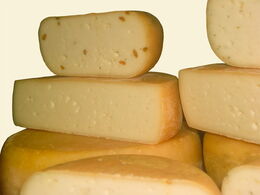Ziegenschnittkäse Ziegenschnittkäse